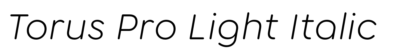 Torus Pro Light Italic
